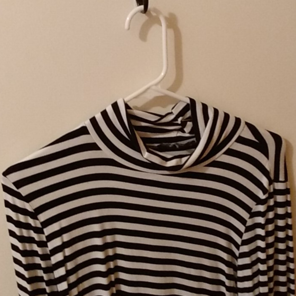 Black & White Striped Turtle Neck